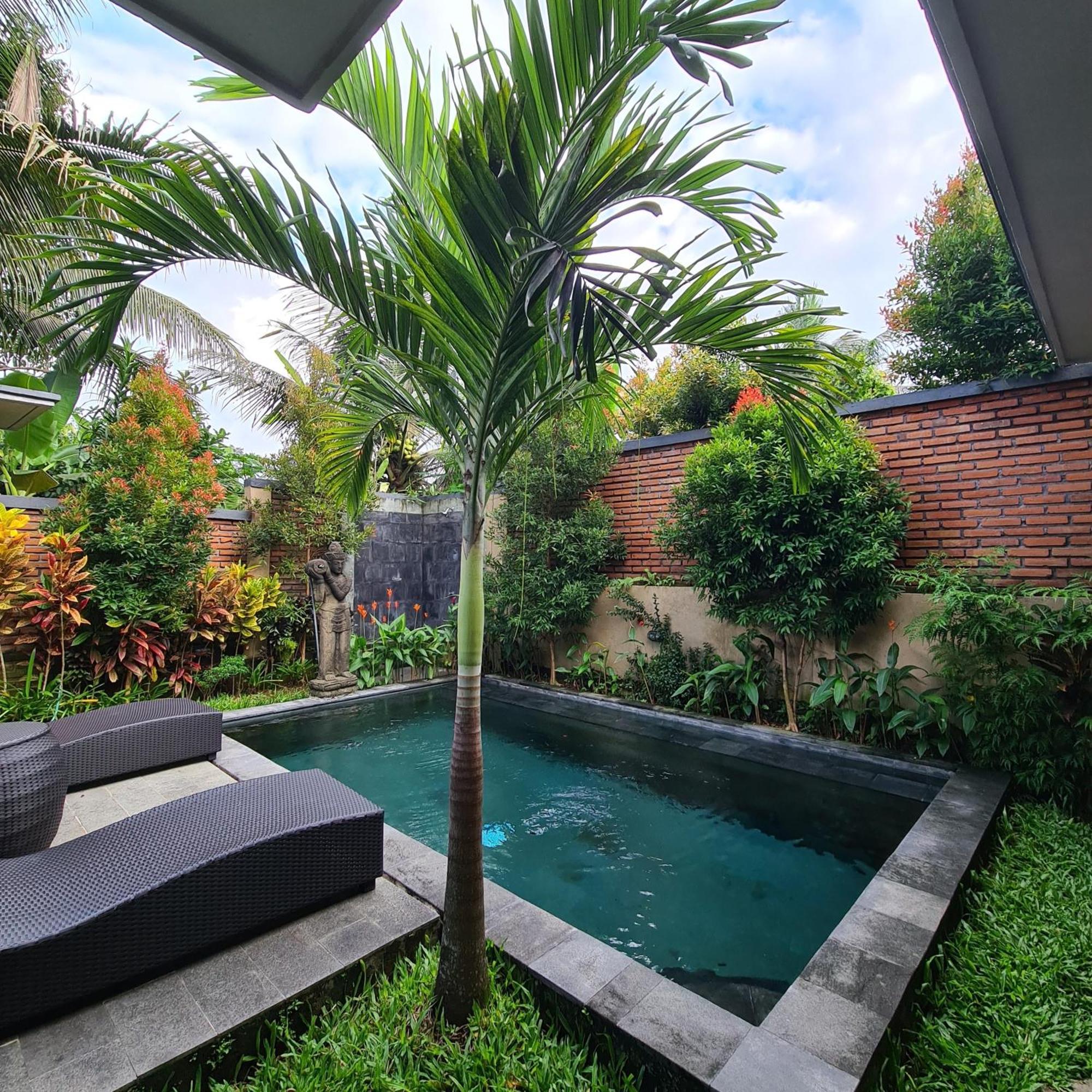 Ubud Suarga Private Pool Villa Buitenkant foto